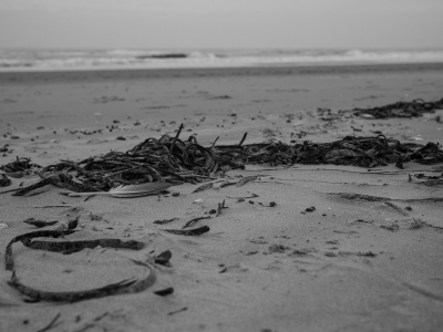 <i class='fa fa-user'></i>&nbsp;susan meijnders&nbsp;|  Veertje&nbsp; <i class='fa fa-eye'>&nbsp;79</i> &nbsp;<i class='fa fa-thumbs-up'>&nbsp;1</i> &nbsp; <i class='fa fa-comment-o'>&nbsp;2</i>