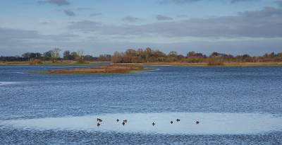 <i class='fa fa-user'></i>&nbsp;Ben Aalders&nbsp;|  Mooi najaarsweer&nbsp; <i class='fa fa-eye'>&nbsp;66</i> &nbsp;<i class='fa fa-thumbs-up'>&nbsp;1</i> &nbsp; <i class='fa fa-comment-o'>&nbsp;3</i>