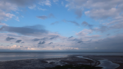 <i class='fa fa-user'></i>&nbsp;rixte&nbsp;|  Wad op Texel&nbsp; <i class='fa fa-eye'>&nbsp;89</i> &nbsp;<i class='fa fa-thumbs-up'>&nbsp;1</i> &nbsp; <i class='fa fa-comment-o'>&nbsp;6</i>