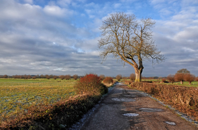 <i class='fa fa-user'></i>&nbsp;nelappelmelk&nbsp;|  Winterse kleuren&nbsp; <i class='fa fa-eye'>&nbsp;103</i> &nbsp; <i class='fa fa-comment-o'>&nbsp;8</i>