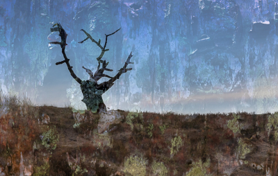 Ook verval: een dode boom op het Aekingerzand. Een monument van vergane glorie. Bij deze opname is meervoudige belichting in de camera gebruikt.
