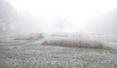 <i class='fa fa-user'></i>&nbsp;nelappelmelk&nbsp;|  Kleine wereld&nbsp; <i class='fa fa-eye'>&nbsp;91</i> &nbsp; <i class='fa fa-comment-o'>&nbsp;3</i>