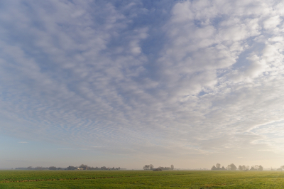 <i class='fa fa-user'></i>&nbsp;Tim Oord&nbsp;|  Wolkenlucht boven polder&nbsp; <i class='fa fa-eye'>&nbsp;58</i> &nbsp; <i class='fa fa-comment-o'>&nbsp;3</i>