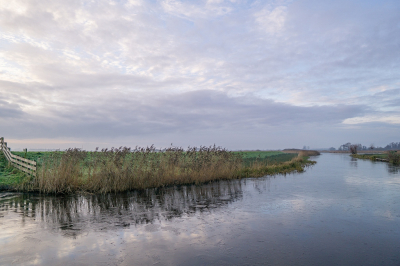 <i class='fa fa-user'></i>&nbsp;Tim Oord&nbsp;|  Haventje Smalle Ee&nbsp; <i class='fa fa-eye'>&nbsp;75</i> &nbsp;<i class='fa fa-thumbs-up'>&nbsp;3</i> &nbsp; <i class='fa fa-comment-o'>&nbsp;5</i>