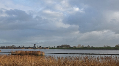 <i class='fa fa-user'></i>&nbsp;kooyammers&nbsp;|  Rietgorzen langs de Lek&nbsp; <i class='fa fa-eye'>&nbsp;78</i> &nbsp;<i class='fa fa-thumbs-up'>&nbsp;2</i> &nbsp; <i class='fa fa-comment-o'>&nbsp;8</i>