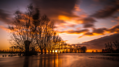 <i class='fa fa-user'></i>&nbsp;Van de Velde Frank&nbsp;|  Blankaart&nbsp; <i class='fa fa-eye'>&nbsp;127</i> &nbsp;<i class='fa fa-thumbs-up'>&nbsp;5</i> &nbsp; <i class='fa fa-comment-o'>&nbsp;6</i>