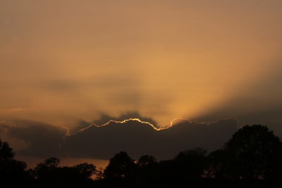 Wachtend op groepen kraanvogels werd de lucht zo ontzettend mooi met de ondergaande zon. Hier kroop hij even achter een stel wolken, het gaf een adembenemend effect vond ik.