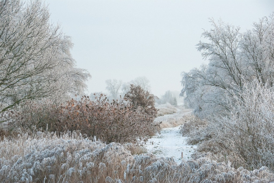 <i class='fa fa-user'></i>&nbsp;Tim Oord&nbsp;|  Winters landschap&nbsp; <i class='fa fa-eye'>&nbsp;93</i> &nbsp; <i class='fa fa-comment-o'>&nbsp;7</i>