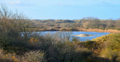 <i class='fa fa-user'></i>&nbsp;B.M.Schouten-Ruis&nbsp;|  Kijfhoekhoogte-Meijendel&nbsp; <i class='fa fa-eye'>&nbsp;69</i> &nbsp;<i class='fa fa-thumbs-up'>&nbsp;1</i> &nbsp; <i class='fa fa-comment-o'>&nbsp;3</i>