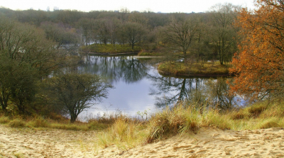 <i class='fa fa-user'></i>&nbsp;B.M.Schouten-Ruis&nbsp;|  Kijfhoekhoogte-Meijendel&nbsp; <i class='fa fa-eye'>&nbsp;97</i> &nbsp;<i class='fa fa-thumbs-up'>&nbsp;2</i> &nbsp; <i class='fa fa-comment-o'>&nbsp;6</i>