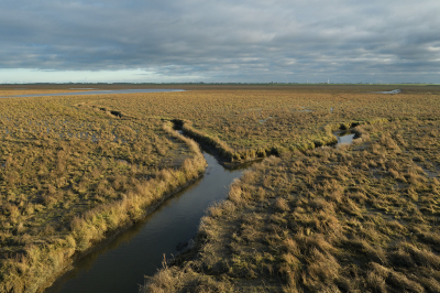 <i class='fa fa-user'></i>&nbsp;Hendrik van Kampen&nbsp;|  Kwelderbekken met kreek of priel&nbsp; <i class='fa fa-eye'>&nbsp;72</i> &nbsp;<i class='fa fa-thumbs-up'>&nbsp;2</i> &nbsp; <i class='fa fa-comment-o'>&nbsp;5</i>