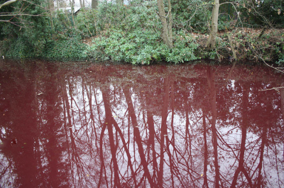 <i class='fa fa-user'></i>&nbsp;Paul Vandebroek&nbsp;|  Purperbacterie sp.&nbsp; <i class='fa fa-eye'>&nbsp;100</i> &nbsp;<i class='fa fa-thumbs-up'>&nbsp;1</i> &nbsp; <i class='fa fa-comment-o'>&nbsp;6</i>