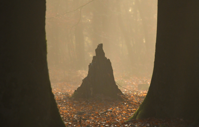 <i class='fa fa-user'></i>&nbsp;Eric Gibcus&nbsp;|  Beuk&nbsp; <i class='fa fa-eye'>&nbsp;112</i> &nbsp;<i class='fa fa-thumbs-up'>&nbsp;2</i> &nbsp; <i class='fa fa-comment-o'>&nbsp;6</i>