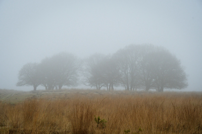 <i class='fa fa-user'></i>&nbsp;Bert Veerman&nbsp;|  Hessengat&nbsp; <i class='fa fa-eye'>&nbsp;75</i> &nbsp; <i class='fa fa-comment-o'>&nbsp;5</i>