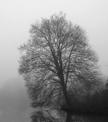 <i class='fa fa-user'></i>&nbsp;Ben Aalders&nbsp;|  Het Engelse Werk&nbsp; <i class='fa fa-eye'>&nbsp;65</i> &nbsp;<i class='fa fa-thumbs-up'>&nbsp;1</i> &nbsp; <i class='fa fa-comment-o'>&nbsp;0</i>