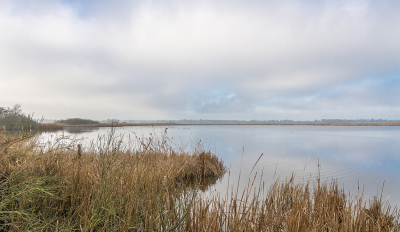 <i class='fa fa-user'></i>&nbsp;Tim Oord&nbsp;|  Impressie Sondeler Leijen&nbsp; <i class='fa fa-eye'>&nbsp;58</i> &nbsp; <i class='fa fa-comment-o'>&nbsp;1</i>