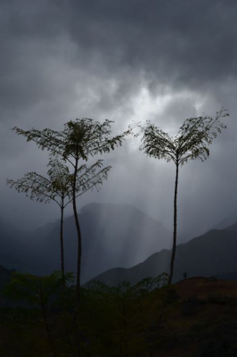 <i class='fa fa-user'></i>&nbsp;mauritskoenen48&nbsp;|  Dreigend onweer in de Andes&nbsp; <i class='fa fa-eye'>&nbsp;96</i> &nbsp; <i class='fa fa-comment-o'>&nbsp;3</i>