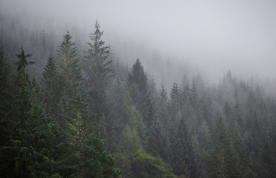 <i class='fa fa-user'></i>&nbsp;Eef Kieft&nbsp;|  Donkere dagen voor Kerst&nbsp; <i class='fa fa-eye'>&nbsp;93</i> &nbsp; <i class='fa fa-comment-o'>&nbsp;1</i>