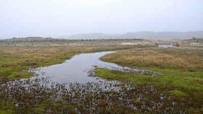 <i class='fa fa-user'></i>&nbsp;kooyammers&nbsp;|  Winter in de Kwade Hoek&nbsp; <i class='fa fa-eye'>&nbsp;68</i> &nbsp;<i class='fa fa-thumbs-up'>&nbsp;2</i> &nbsp; <i class='fa fa-comment-o'>&nbsp;6</i>