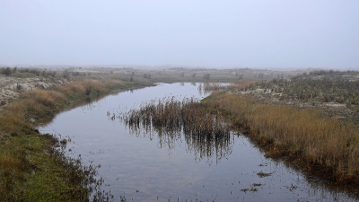 <i class='fa fa-user'></i>&nbsp;kooyammers&nbsp;|  Prielen en Kreken&nbsp; <i class='fa fa-eye'>&nbsp;60</i> &nbsp;<i class='fa fa-thumbs-up'>&nbsp;1</i> &nbsp; <i class='fa fa-comment-o'>&nbsp;2</i>