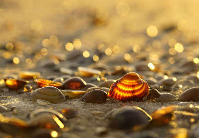 <i class='fa fa-user'></i>&nbsp;Nel R&nbsp;|  Kokkel&nbsp; <i class='fa fa-eye'>&nbsp;124</i> &nbsp;<i class='fa fa-thumbs-up'>&nbsp;10</i> &nbsp; <i class='fa fa-comment-o'>&nbsp;10</i>