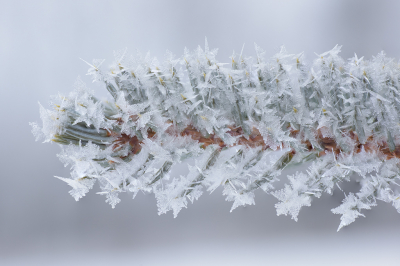 <i class='fa fa-user'></i>&nbsp;Jan Luit&nbsp;|  Rijp&nbsp; <i class='fa fa-eye'>&nbsp;104</i> &nbsp;<i class='fa fa-thumbs-up'>&nbsp;5</i> &nbsp; <i class='fa fa-comment-o'>&nbsp;5</i>