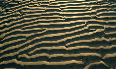 <i class='fa fa-user'></i>&nbsp;Nel R&nbsp;|  Zandribbels&nbsp; <i class='fa fa-eye'>&nbsp;66</i> &nbsp;<i class='fa fa-thumbs-up'>&nbsp;2</i> &nbsp; <i class='fa fa-comment-o'>&nbsp;4</i>