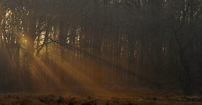 <i class='fa fa-user'></i>&nbsp;Eric Gibcus&nbsp;|  Zonneharp&nbsp; <i class='fa fa-eye'>&nbsp;87</i> &nbsp; <i class='fa fa-comment-o'>&nbsp;2</i>