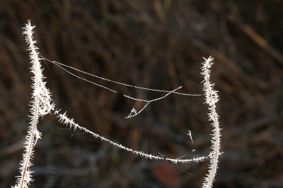 <i class='fa fa-user'></i>&nbsp;frbeuming&nbsp;|  Verbinding&nbsp; <i class='fa fa-eye'>&nbsp;78</i> &nbsp; <i class='fa fa-comment-o'>&nbsp;2</i>