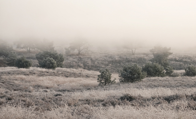 <i class='fa fa-user'></i>&nbsp;nelappelmelk&nbsp;|  Echt winters&nbsp; <i class='fa fa-eye'>&nbsp;88</i> &nbsp;<i class='fa fa-thumbs-up'>&nbsp;1</i> &nbsp; <i class='fa fa-comment-o'>&nbsp;4</i>