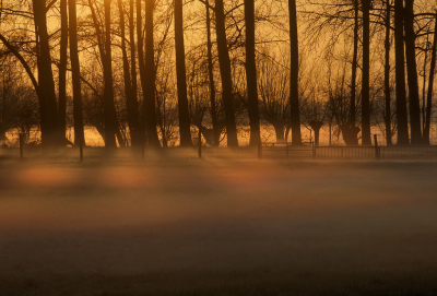 <i class='fa fa-user'></i>&nbsp;corbins&nbsp;|  Geen 'mistboog' maar het natuurkundige verschijnsel interferentie - breking van het zonlicht in de mistdruppels.&nbsp; <i class='fa fa-eye'>&nbsp;105</i> &nbsp; <i class='fa fa-comment-o'>&nbsp;5</i>