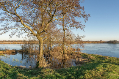 <i class='fa fa-user'></i>&nbsp;Tim Oord&nbsp;|  Winters landschap&nbsp; <i class='fa fa-eye'>&nbsp;55</i> &nbsp; <i class='fa fa-comment-o'>&nbsp;1</i>