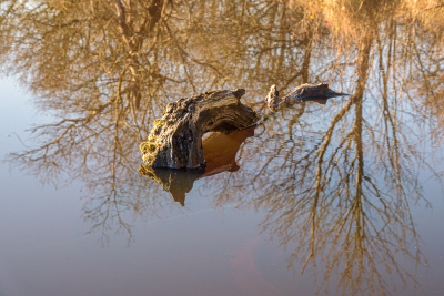 <i class='fa fa-user'></i>&nbsp;Hanry&nbsp;|  Reflectie&nbsp; <i class='fa fa-eye'>&nbsp;94</i> &nbsp;<i class='fa fa-thumbs-up'>&nbsp;1</i> &nbsp; <i class='fa fa-comment-o'>&nbsp;3</i>