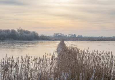 <i class='fa fa-user'></i>&nbsp;Tim Oord&nbsp;|  Winters rietlandschap&nbsp; <i class='fa fa-eye'>&nbsp;86</i> &nbsp;<i class='fa fa-thumbs-up'>&nbsp;1</i> &nbsp; <i class='fa fa-comment-o'>&nbsp;3</i>