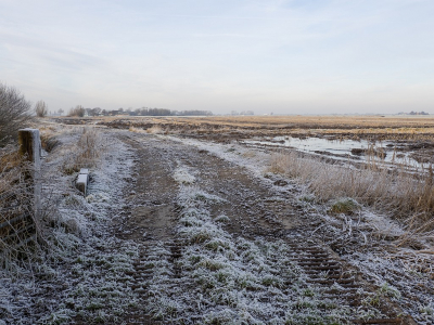 <i class='fa fa-user'></i>&nbsp;Tim Oord&nbsp;|  Winterse akker&nbsp; <i class='fa fa-eye'>&nbsp;83</i> &nbsp; <i class='fa fa-comment-o'>&nbsp;1</i>