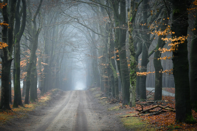 <i class='fa fa-user'></i>&nbsp;Bert Veerman&nbsp;|  Een beetje kleur&nbsp; <i class='fa fa-eye'>&nbsp;113</i> &nbsp;<i class='fa fa-thumbs-up'>&nbsp;2</i> &nbsp; <i class='fa fa-comment-o'>&nbsp;9</i>