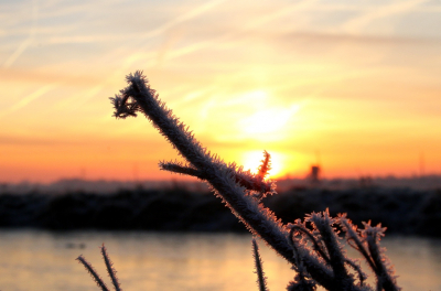 <i class='fa fa-user'></i>&nbsp;Ruben de Bruijn&nbsp;|  Zonsopgang&nbsp; <i class='fa fa-eye'>&nbsp;86</i> &nbsp; <i class='fa fa-comment-o'>&nbsp;2</i>