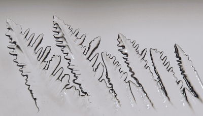 <i class='fa fa-user'></i>&nbsp;Nel R&nbsp;|  Kerstboompjes&nbsp; <i class='fa fa-eye'>&nbsp;130</i> &nbsp;<i class='fa fa-thumbs-up'>&nbsp;14</i> &nbsp; <i class='fa fa-comment-o'>&nbsp;8</i>