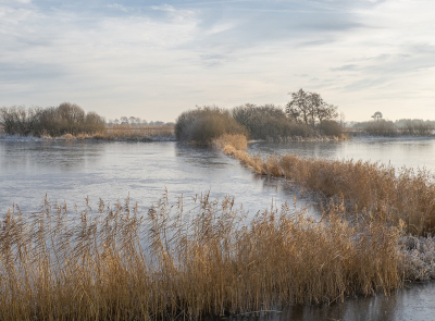 <i class='fa fa-user'></i>&nbsp;Tim Oord&nbsp;|  Winters rietlandschap&nbsp; <i class='fa fa-eye'>&nbsp;98</i> &nbsp;<i class='fa fa-thumbs-up'>&nbsp;3</i> &nbsp; <i class='fa fa-comment-o'>&nbsp;3</i>