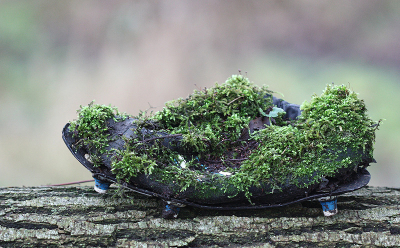 <i class='fa fa-user'></i>&nbsp;Paul Vandebroek&nbsp;|  Vreemde voorwerpen in de natuur&nbsp; <i class='fa fa-eye'>&nbsp;118</i> &nbsp;<i class='fa fa-thumbs-up'>&nbsp;2</i> &nbsp; <i class='fa fa-comment-o'>&nbsp;9</i>