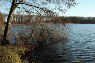 <i class='fa fa-user'></i>&nbsp;frbeuming&nbsp;|  Engelgaarde&nbsp; <i class='fa fa-eye'>&nbsp;81</i> &nbsp; <i class='fa fa-comment-o'>&nbsp;4</i>