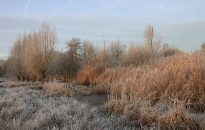 <i class='fa fa-user'></i>&nbsp;Tineke Strijbosch&nbsp;|  Winterlandschap&nbsp; <i class='fa fa-eye'>&nbsp;84</i> &nbsp;<i class='fa fa-thumbs-up'>&nbsp;3</i> &nbsp; <i class='fa fa-comment-o'>&nbsp;8</i>