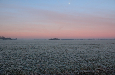 <i class='fa fa-user'></i>&nbsp;Ruben de Bruijn&nbsp;|  Winterse polder&nbsp; <i class='fa fa-eye'>&nbsp;104</i> &nbsp; <i class='fa fa-comment-o'>&nbsp;6</i>