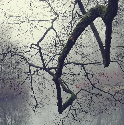 <i class='fa fa-user'></i>&nbsp;Ben Aalders&nbsp;|  Haakse bochten&nbsp; <i class='fa fa-eye'>&nbsp;117</i> &nbsp;<i class='fa fa-thumbs-up'>&nbsp;5</i> &nbsp; <i class='fa fa-comment-o'>&nbsp;10</i>