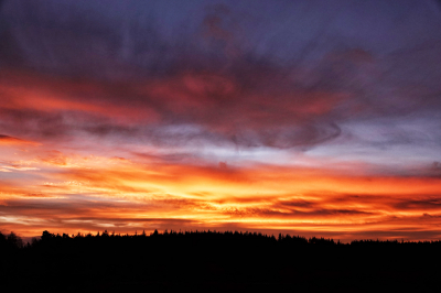 <i class='fa fa-user'></i>&nbsp;nelappelmelk&nbsp;|  Vuurwerk op Oudejaarsdag&nbsp; <i class='fa fa-eye'>&nbsp;150</i> &nbsp;<i class='fa fa-thumbs-up'>&nbsp;6</i> &nbsp; <i class='fa fa-comment-o'>&nbsp;11</i>