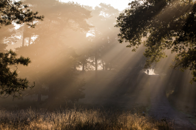<i class='fa fa-user'></i>&nbsp;David&nbsp;|  Zonneharpen op het pad&nbsp; <i class='fa fa-eye'>&nbsp;86</i> &nbsp;<i class='fa fa-thumbs-up'>&nbsp;2</i> &nbsp; <i class='fa fa-comment-o'>&nbsp;7</i>