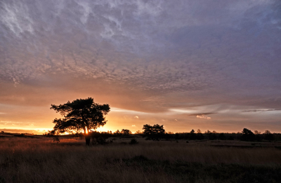 <i class='fa fa-user'></i>&nbsp;nelappelmelk&nbsp;|  Mooie morgen&nbsp; <i class='fa fa-eye'>&nbsp;98</i> &nbsp; <i class='fa fa-comment-o'>&nbsp;8</i>