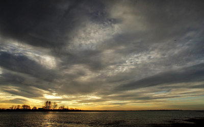 <i class='fa fa-user'></i>&nbsp;Pieter  LJ&nbsp;|  Nieuwjaarsluchten&nbsp; <i class='fa fa-eye'>&nbsp;101</i> &nbsp;<i class='fa fa-thumbs-up'>&nbsp;2</i> &nbsp; <i class='fa fa-comment-o'>&nbsp;4</i>