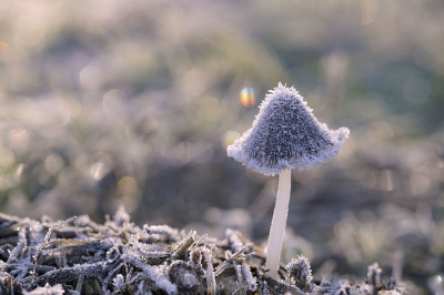 <i class='fa fa-user'></i>&nbsp;Nel R&nbsp;|  Rijp&nbsp; <i class='fa fa-eye'>&nbsp;102</i> &nbsp;<i class='fa fa-thumbs-up'>&nbsp;4</i> &nbsp; <i class='fa fa-comment-o'>&nbsp;6</i>