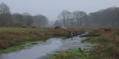 <i class='fa fa-user'></i>&nbsp;Tineke Strijbosch&nbsp;|  Beekdallandschap het Messchenveld&nbsp; <i class='fa fa-eye'>&nbsp;104</i> &nbsp;<i class='fa fa-thumbs-up'>&nbsp;2</i> &nbsp; <i class='fa fa-comment-o'>&nbsp;5</i>